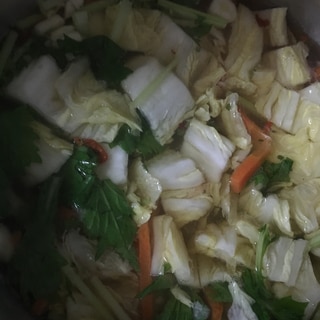 うどん出汁で野菜鍋